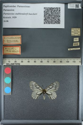 Media type: image;   Entomology 180050